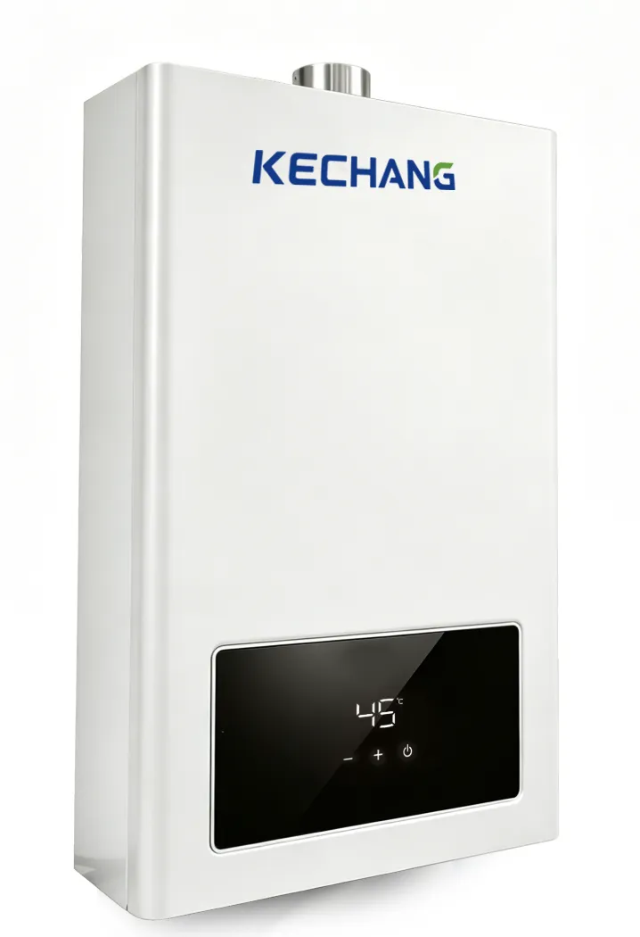High-Capacity Forced Exhaust LCD Gas Water Heater, product detail view, gallery image 2