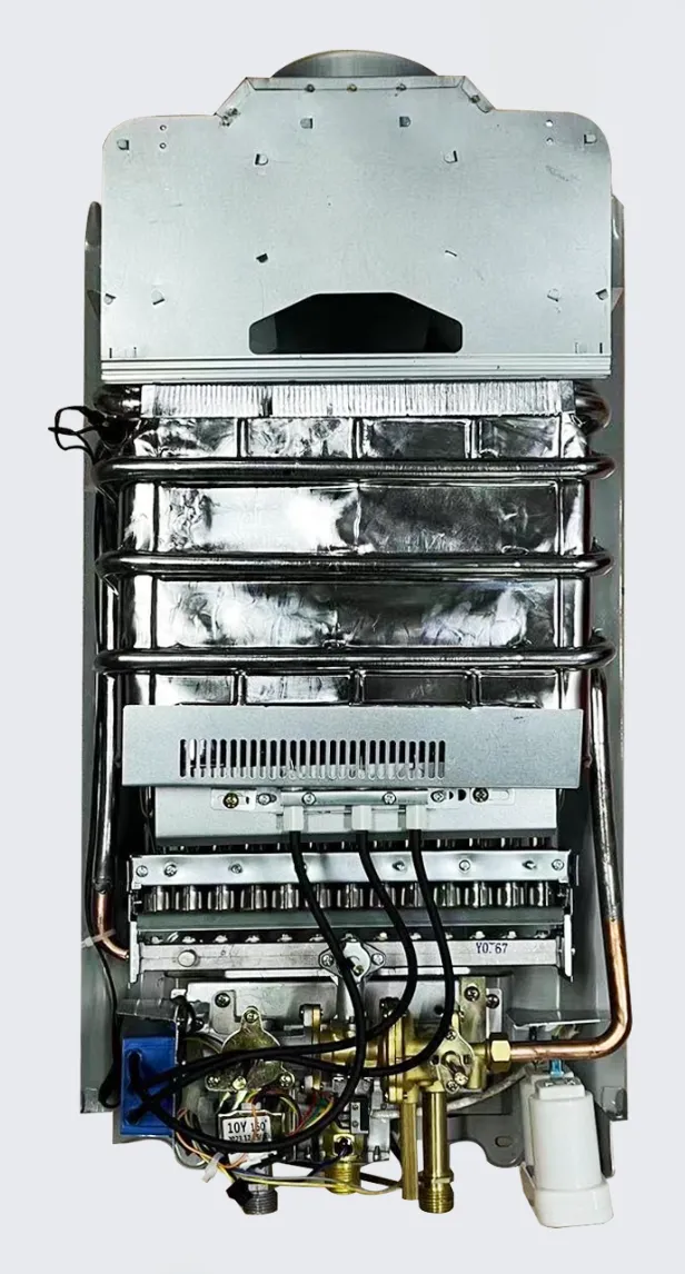 6-20L Propane/LPG Tankless Gas Water Heater, product detail view, gallery image 7