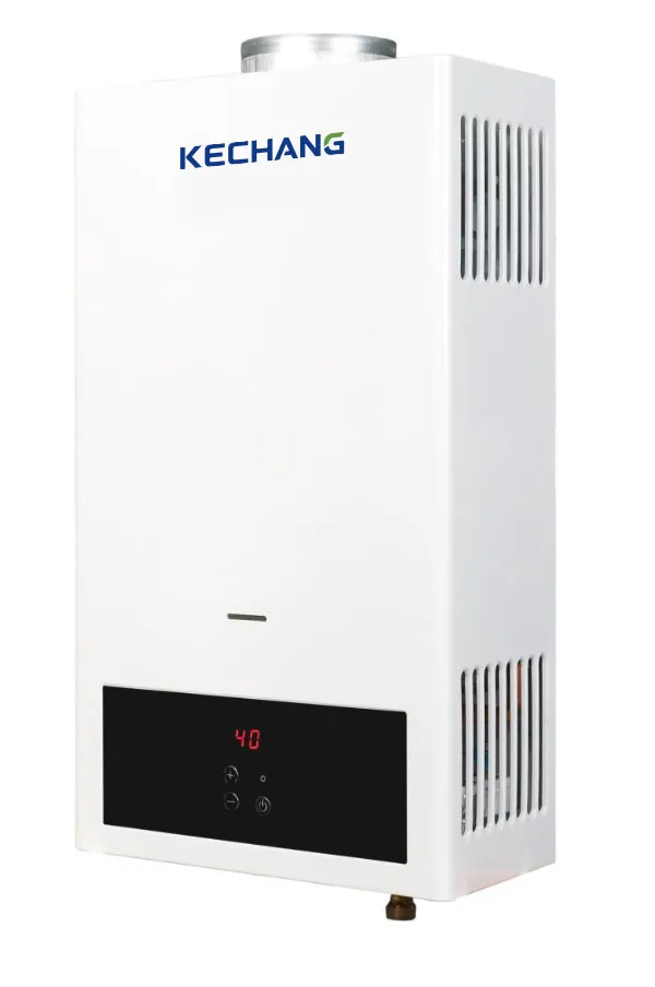 10L LPG Digital LCD Tankless Gas Water Heater with LCD Temperature Display, product detail view, gallery image 2